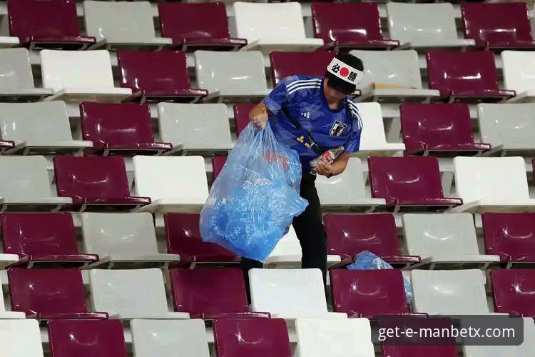 民主刚果52年后再进世界杯！万博体育平台观赛全攻略与赛事深度解读